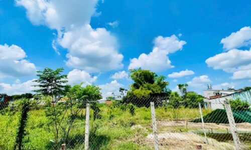 Đất mặt tiền kinh doanh 10m ngay chợ Việt Kiều, Củ Chi. DT (10×42