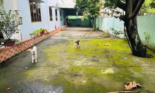 Bán gấp lô đất Ninh Tốn, Thị Trấn Củ Chi, 5x36m, giá chỉ 550tr hiếm