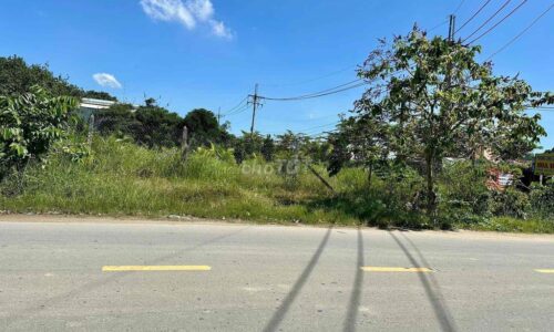 BÁN ĐẤT VỊ TRÍ ĐẸP – MẶT TIỀN TỈNH LỘ 2 (Trung Lập Hạ, Củ Chi)