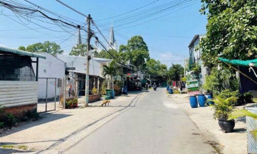 CẦN BÁN LÔ ĐẤT 182M2 GIÁ 595 TRIỆU, TÂN THÔNG HỘI CỦ CHI,SỔ HỒNG RIÊNG